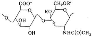 https://www.medpulse.ru/image/encyclopedia/7/4/5/8745.jpeg