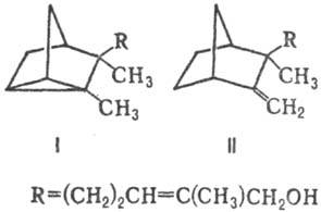 https://www.medpulse.ru/image/encyclopedia/7/4/6/12746.jpeg