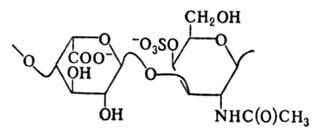 https://www.medpulse.ru/image/encyclopedia/7/4/6/8746.jpeg