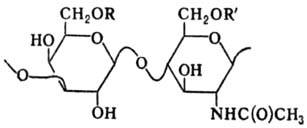 https://www.medpulse.ru/image/encyclopedia/7/4/7/8747.jpeg