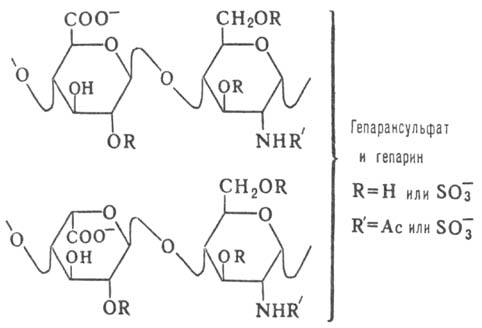 https://www.medpulse.ru/image/encyclopedia/7/4/8/8748.jpeg