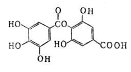 https://www.medpulse.ru/image/encyclopedia/7/4/9/4749.jpeg