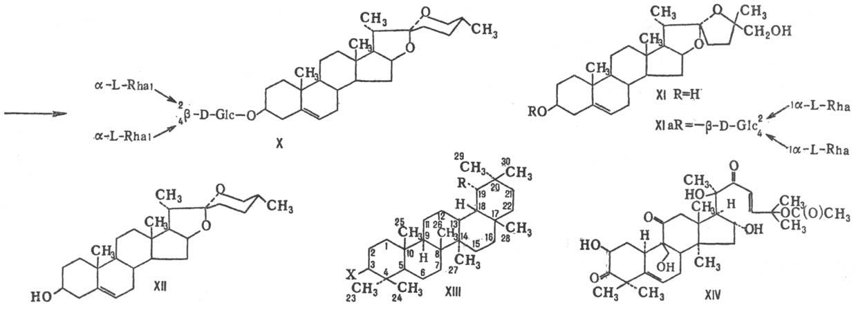 https://www.medpulse.ru/image/encyclopedia/7/5/2/12752.jpeg