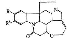 https://www.medpulse.ru/image/encyclopedia/7/5/5/3755.jpeg