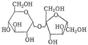 https://www.medpulse.ru/image/encyclopedia/7/6/0/12760.jpeg