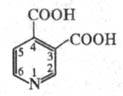 https://www.medpulse.ru/image/encyclopedia/7/6/7/17767.jpeg