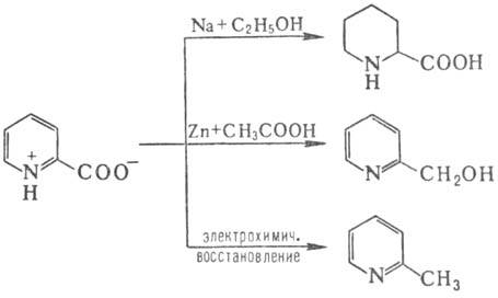 https://www.medpulse.ru/image/encyclopedia/7/7/0/10770.jpeg