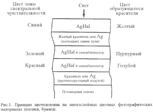https://www.medpulse.ru/image/encyclopedia/7/7/5/15775.jpeg