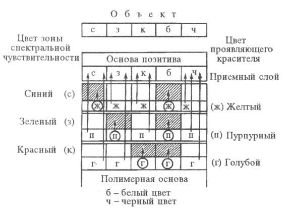 https://www.medpulse.ru/image/encyclopedia/7/7/6/15776.jpeg