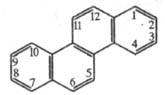 https://www.medpulse.ru/image/encyclopedia/7/8/2/16782.jpeg