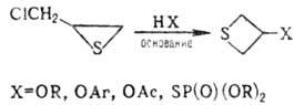 https://www.medpulse.ru/image/encyclopedia/7/9/8/9798.jpeg