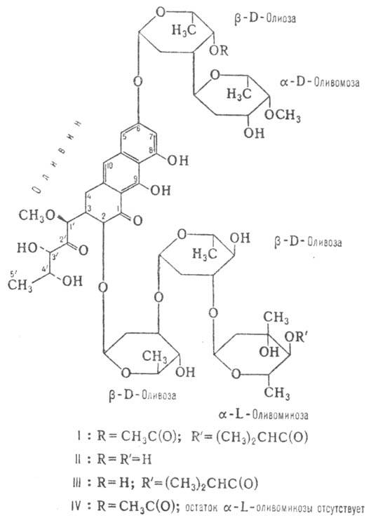 https://www.medpulse.ru/image/encyclopedia/8/1/8/9818.jpeg