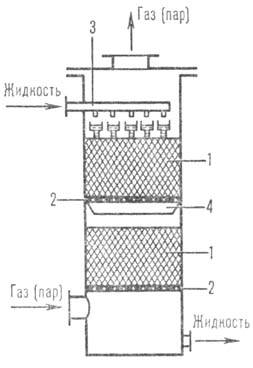 https://www.medpulse.ru/image/encyclopedia/8/2/6/8826.jpeg