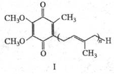 https://www.medpulse.ru/image/encyclopedia/8/3/2/14832.jpeg