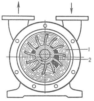 https://www.medpulse.ru/image/encyclopedia/8/3/6/8836.jpeg