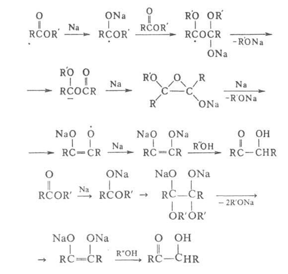 https://www.medpulse.ru/image/encyclopedia/8/4/6/2846.jpeg