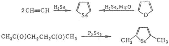 https://www.medpulse.ru/image/encyclopedia/8/5/5/12855.jpeg