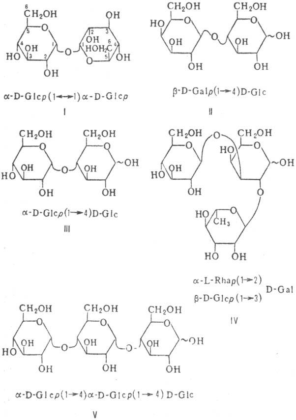 https://www.medpulse.ru/image/encyclopedia/8/5/7/9857.jpeg