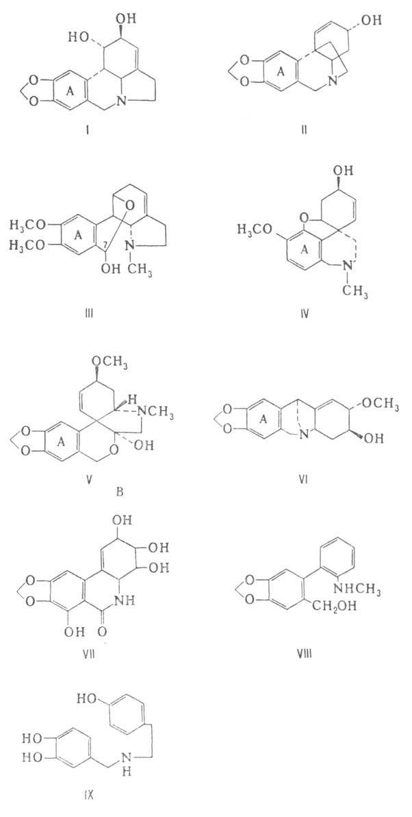 https://www.medpulse.ru/image/encyclopedia/8/5/8/1858.jpeg