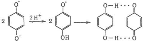 https://www.medpulse.ru/image/encyclopedia/8/6/2/12862.jpeg