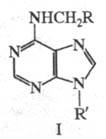 https://www.medpulse.ru/image/encyclopedia/8/7/3/17873.jpeg