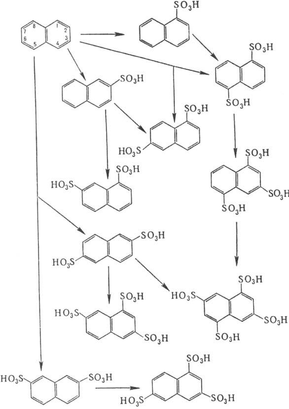 https://www.medpulse.ru/image/encyclopedia/8/8/4/8884.jpeg