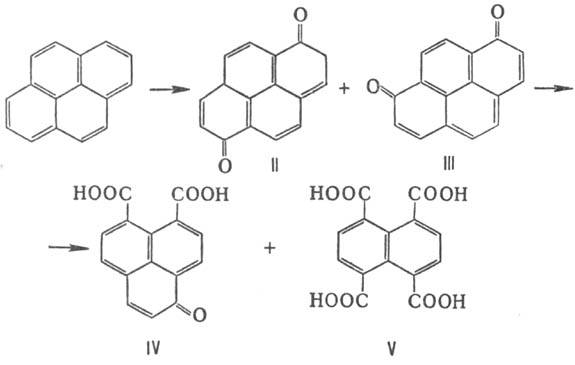 https://www.medpulse.ru/image/encyclopedia/8/8/5/10885.jpeg