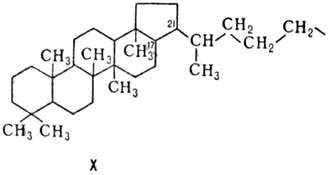 https://www.medpulse.ru/image/encyclopedia/8/8/7/8887.jpeg