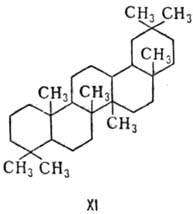 https://www.medpulse.ru/image/encyclopedia/8/8/8/8888.jpeg