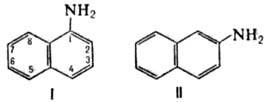 https://www.medpulse.ru/image/encyclopedia/8/9/5/8895.jpeg