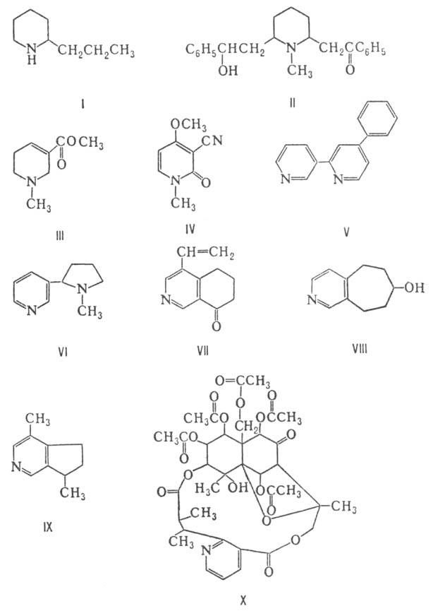 https://www.medpulse.ru/image/encyclopedia/9/1/2/10912.jpeg