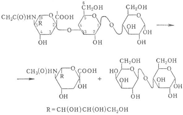 https://www.medpulse.ru/image/encyclopedia/9/2/3/8923.jpeg