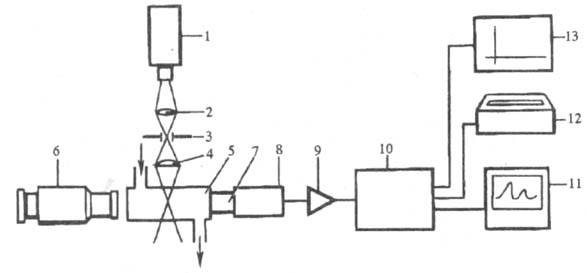 https://www.medpulse.ru/image/encyclopedia/9/2/4/14924.jpeg