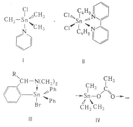 https://www.medpulse.ru/image/encyclopedia/9/3/0/9930.jpeg