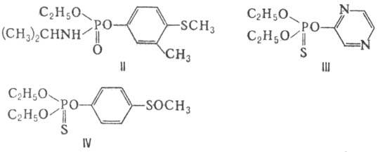 https://www.medpulse.ru/image/encyclopedia/9/3/5/8935.jpeg