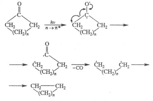 https://www.medpulse.ru/image/encyclopedia/9/4/6/15946.jpeg