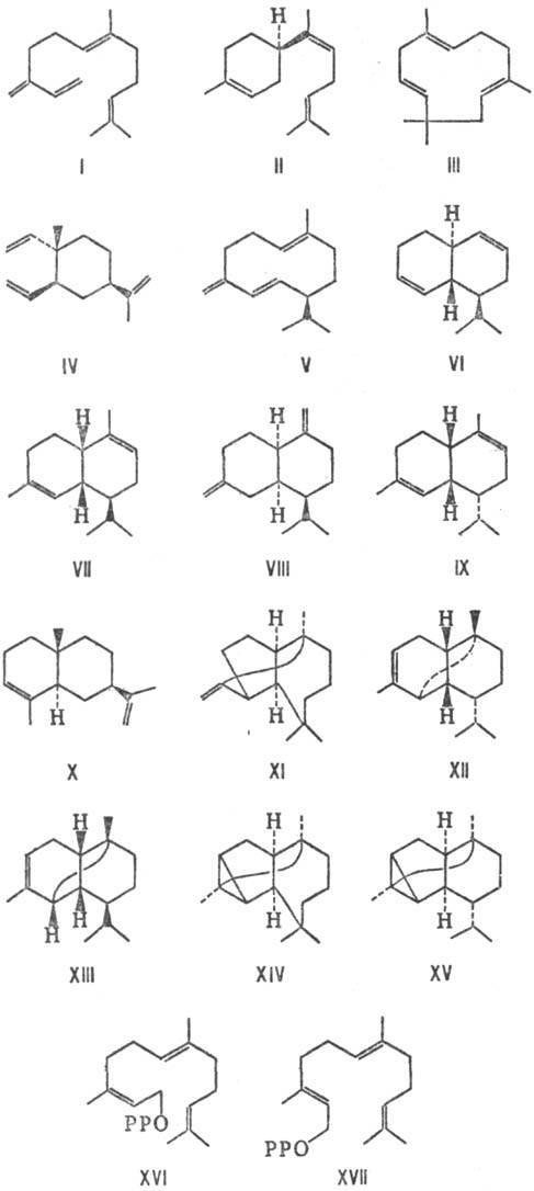 https://www.medpulse.ru/image/encyclopedia/9/5/6/12956.jpeg