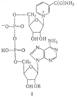 https://www.medpulse.ru/image/encyclopedia/9/7/1/8971.jpeg