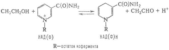 https://www.medpulse.ru/image/encyclopedia/9/7/2/8972.jpeg