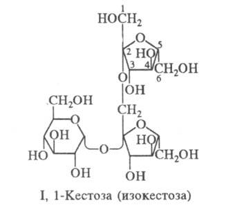 https://www.medpulse.ru/image/encyclopedia/9/7/4/15974.jpeg