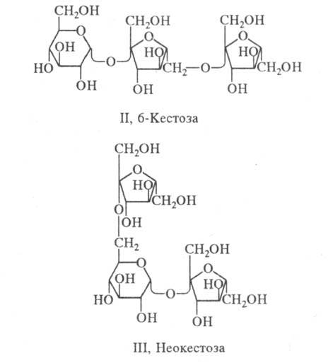 https://www.medpulse.ru/image/encyclopedia/9/7/5/15975.jpeg