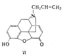 https://www.medpulse.ru/image/encyclopedia/9/7/7/9977.jpeg