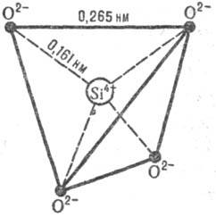 https://www.medpulse.ru/image/encyclopedia/9/8/0/12980.jpeg