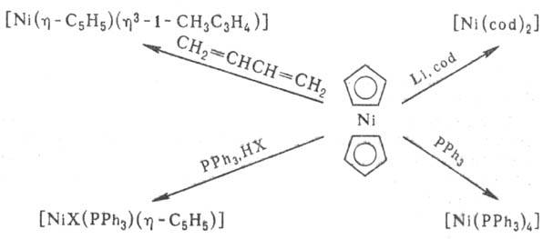 https://www.medpulse.ru/image/encyclopedia/9/9/3/8993.jpeg