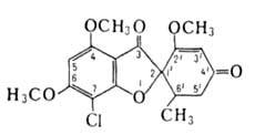 https://www.medpulse.ru/image/encyclopedia/9/9/6/5996.jpeg