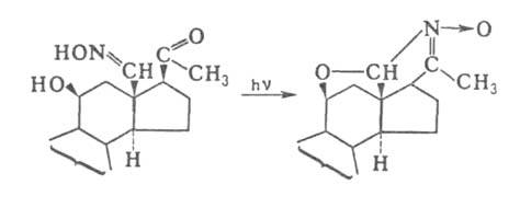 https://www.medpulse.ru/image/encyclopedia/9/9/9/2999.jpeg