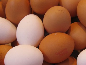Эксперты Роскачества рассказали о том, сколько можно хранить вареные яйца