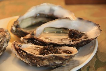 Врач Пушкарева: морепродукты хранятся 2 часа без холодильника