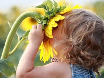 Запах лимона заставляет лучше соображать