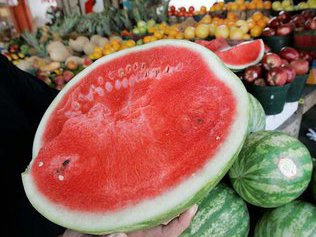 Волшебная ягода - полезный арбуз